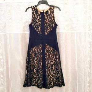 NWOT The Limited Navy & Beige Lace A-Line Dress, Sleeveless, 6